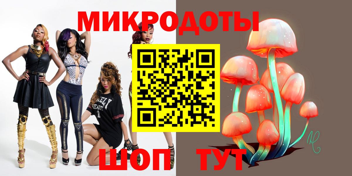Галлюциногенные грибы Psilocybe Саратов
