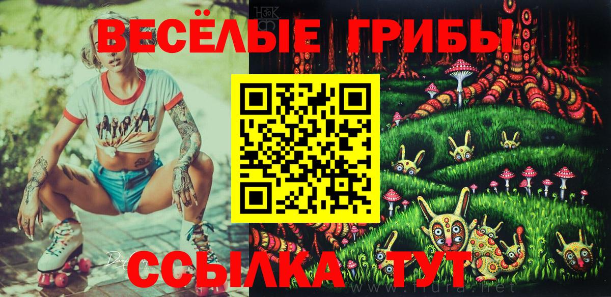 Псилоцибиновые грибы Psilocybe  Псилоцибиновые грибы ЛСД  Саратов  Вход с VPN 